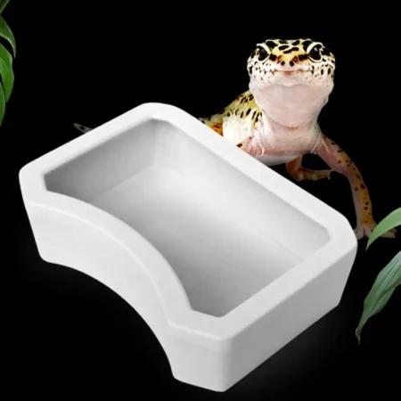 TerraBowl™ Reptile Feeding & Water Dish Bowl Feeding Drinking Basin Tray Fit for Lizard/Turtle Hermit Habitat